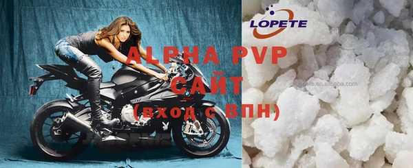 эйфоретик Почеп