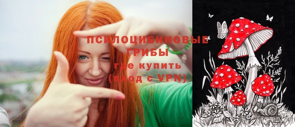 a pvp Сосновка