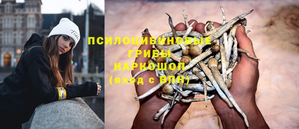 a pvp Сосновка