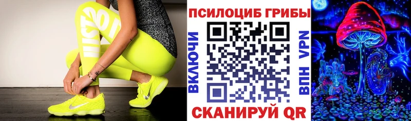как найти наркотики  Урень  Псилоцибиновые грибы прущие грибы 